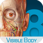 visible body2021 v2021免费电脑版
