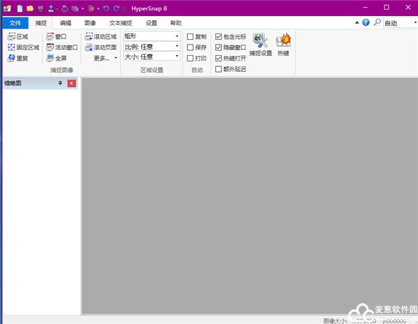 HyperSnap 8免费版