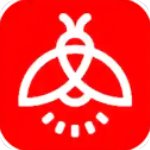 火萤视频壁纸手机版 v10.2.2安卓版