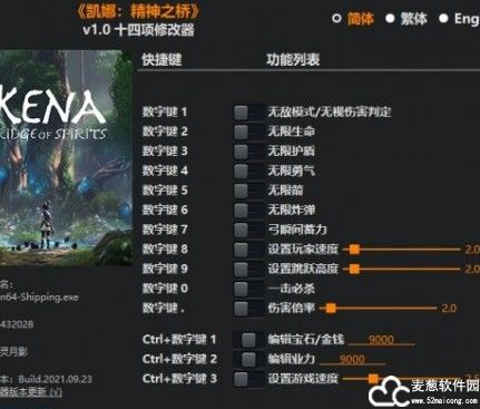 柯娜精神之桥修改器风灵月影版