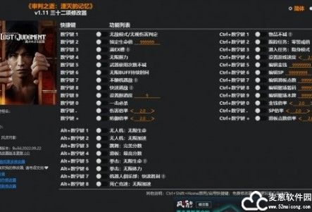 审判之逝湮灭的记忆修改器风灵月影版